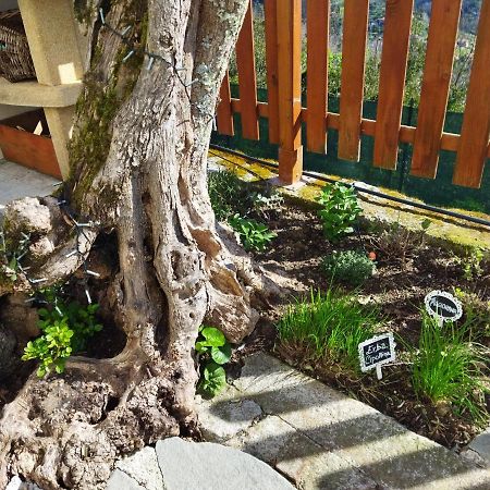 Amphiorama Villa Специя Екстериор снимка