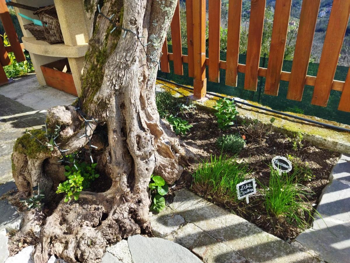 Amphiorama Villa Специя Екстериор снимка